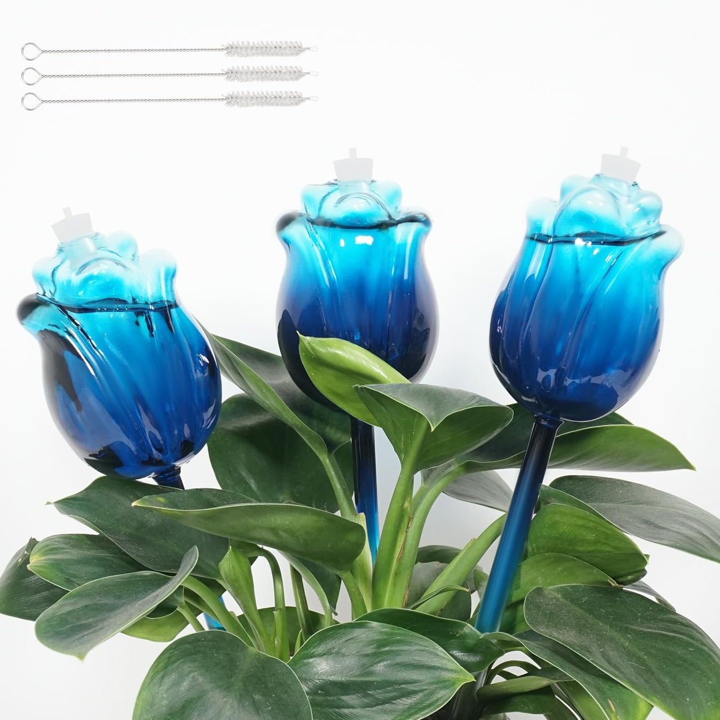YEH-HOME Large Plant Watering Globes Set of 3-10 oz Indoor/Outdoor Large Self Watering Globes Planter Insert, for Mother/Father/Friend/Plant Enthusiasts (Blue Rose)