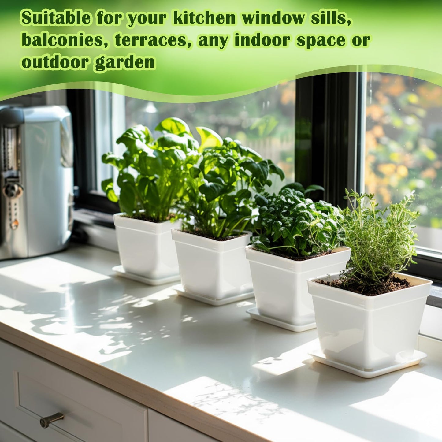 Ripeng 10 Set Indoor Herb Garden Starter Kit, Herb Growing Kit with Pots, Nutritional Soil, Plant Markers, Kitchen Window Planter, Gardening Gift for Women Men Indoor Outdoor