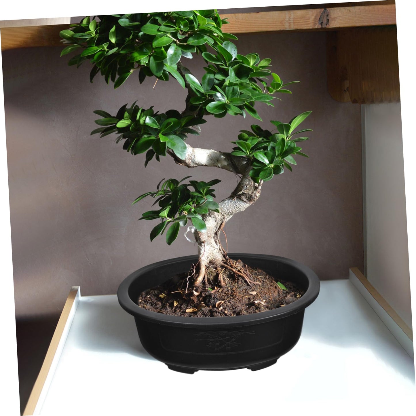 DOITOOL 2Pcs Bonsai Training Pot 15 inch Plastic Flower Pot Bonsai Pot with Drainage Hole, Oval Bonsai Planter Pot Plants Growing Pots for Nursery, Garden, Balcony, Black