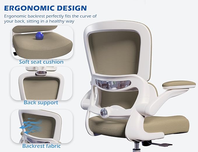 TRALT Ergonomic Office Chair