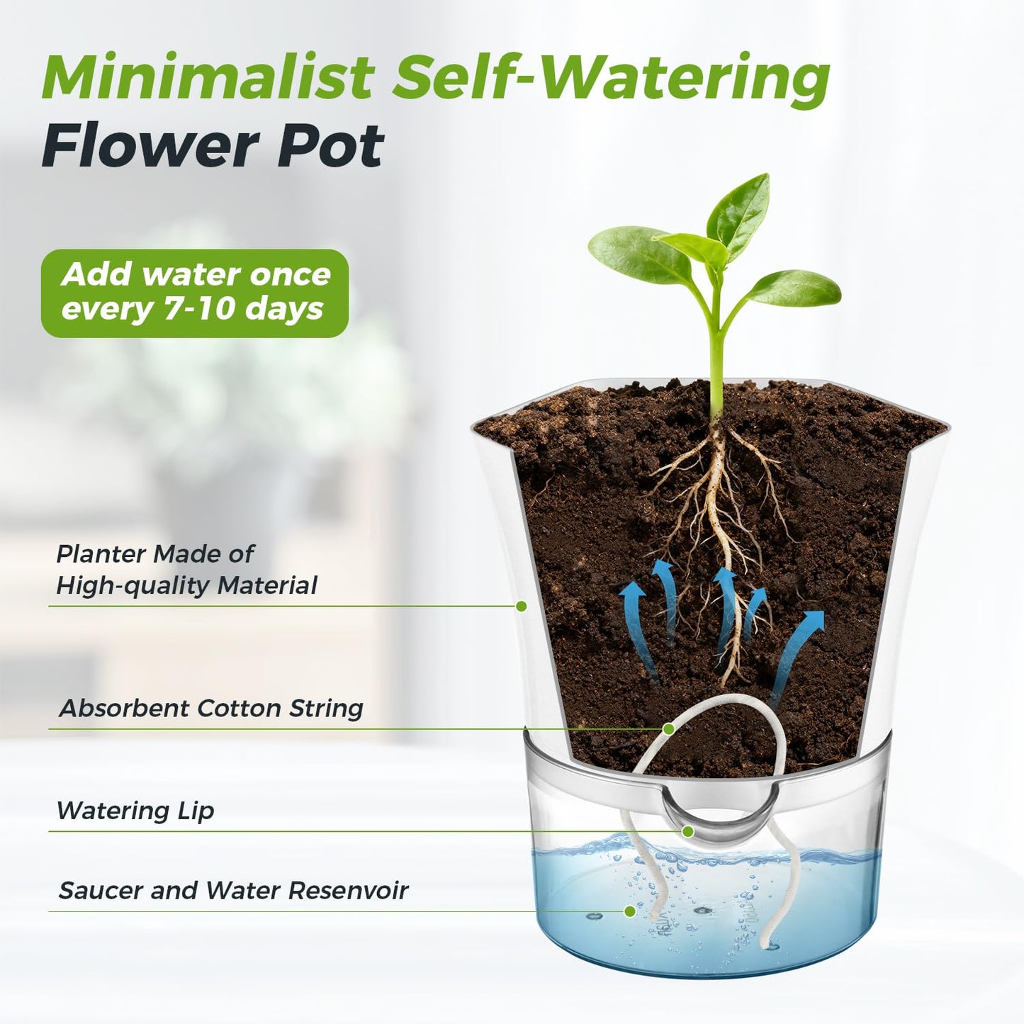 Planterhoma 6-Pack 4.3" Self-Watering Planters, Clear and White, Indoor Use, Hexagonal Plant Pots for Orchids, Herbs, African Violet, Home Decor