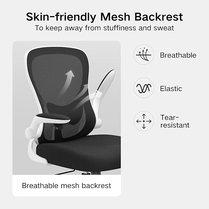 Hbada Office Chair Ergonomic Desk Chair, Office Desk Chairs