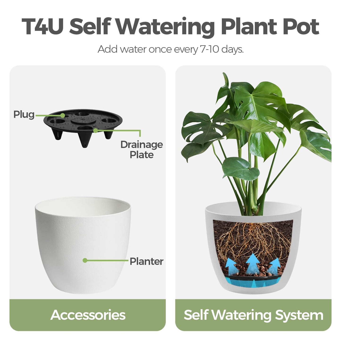 T4U 7 Inch Self Watering Planters Plastic Plant Pot, Modern Decorative Flower Pot/Window Box for All House Plants, Flowers, Herbs, African Violets, Succulents - White, Set of 6