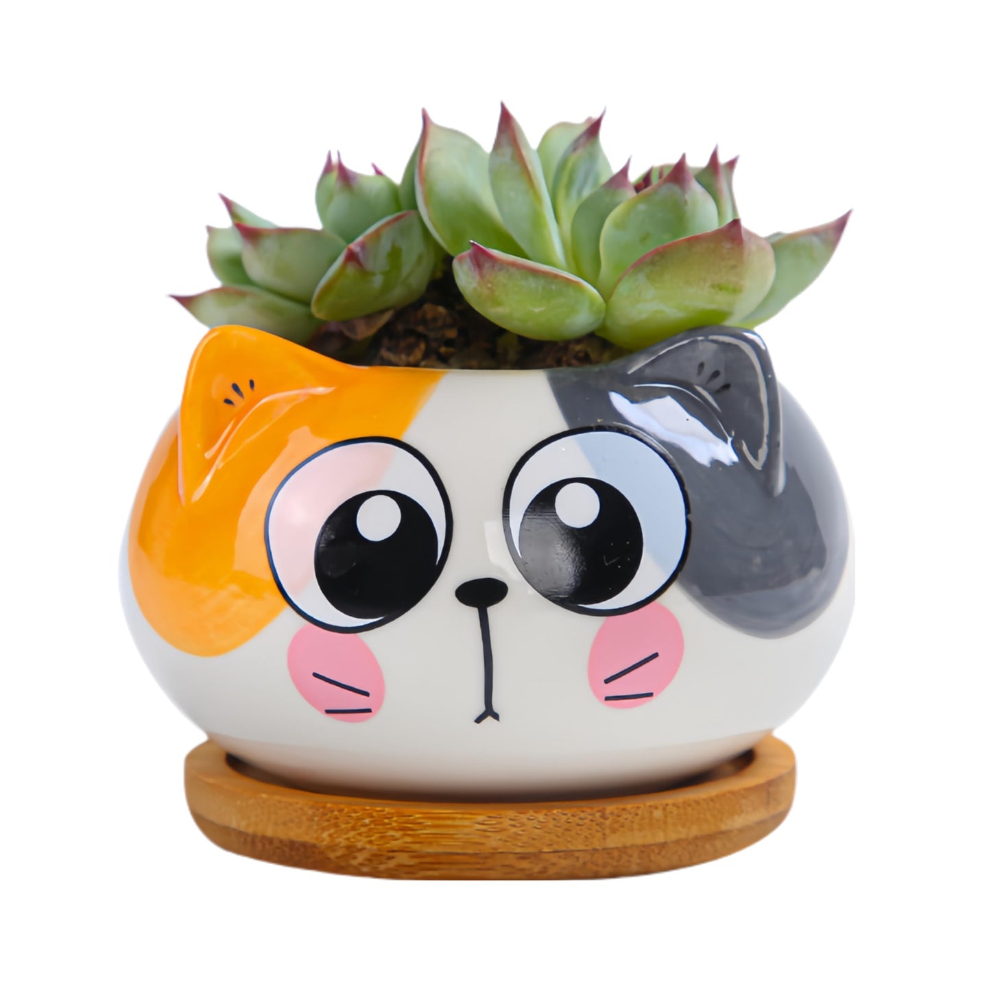 Cuteforyou Cute 3.5 Inches Indoor Cartoon Animal Cat Shaped Ceramic Succulent Cactus Flower Plant Pots with Bamboo Tray-Plant Not Included (6 Corlors)
