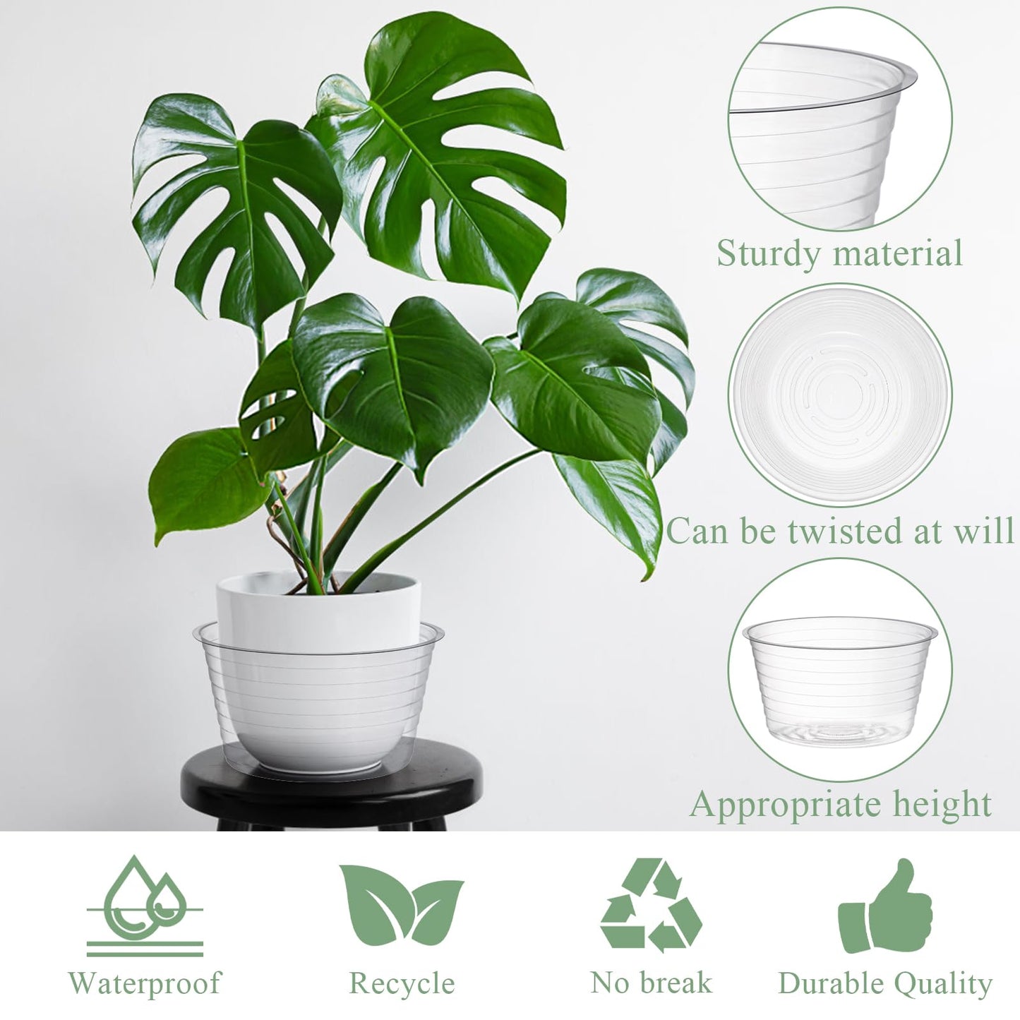 Tebery 50 Pack Clear Plastic Plant Saucer Drip Tray for Pots, 6 Inch Deep Flower Pot Saucers Water Catcher Tray Watering Trays for Plants Indoors and Outdoor