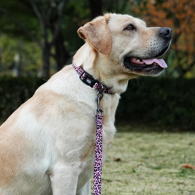 Dog Collar Leash Set, Leopard Pattern, Polyester Material, Adjustable Collar and 5ft Matching Leash, for Large Dogs.(L, Colorful Leopard)
