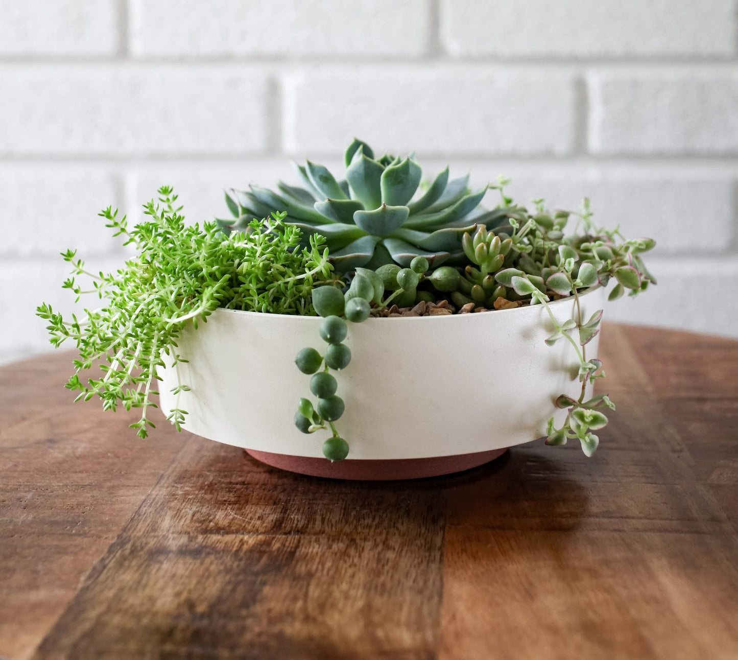 The HC Companies 6 Inch Round Plastic Succulent Capri Bowl 6"x6"x2.25" in Vanilla Bisque with Copper Bottom Color