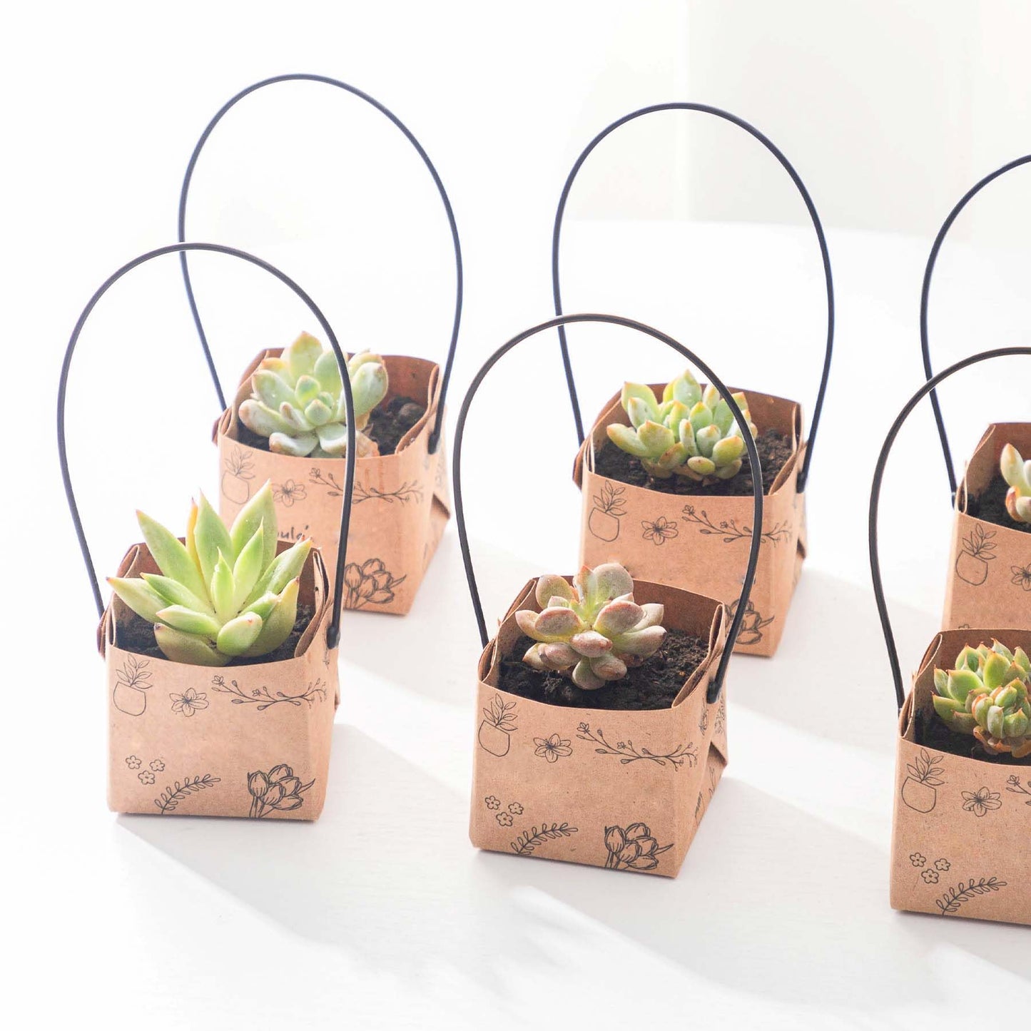 40Pcs Succulent Wrap Bags (fits 2 inch pots), Mini Kraft Succulent Favour Box Basket with Handle for Wedding, Baby Shower, Succulent Party Favours for Guests
