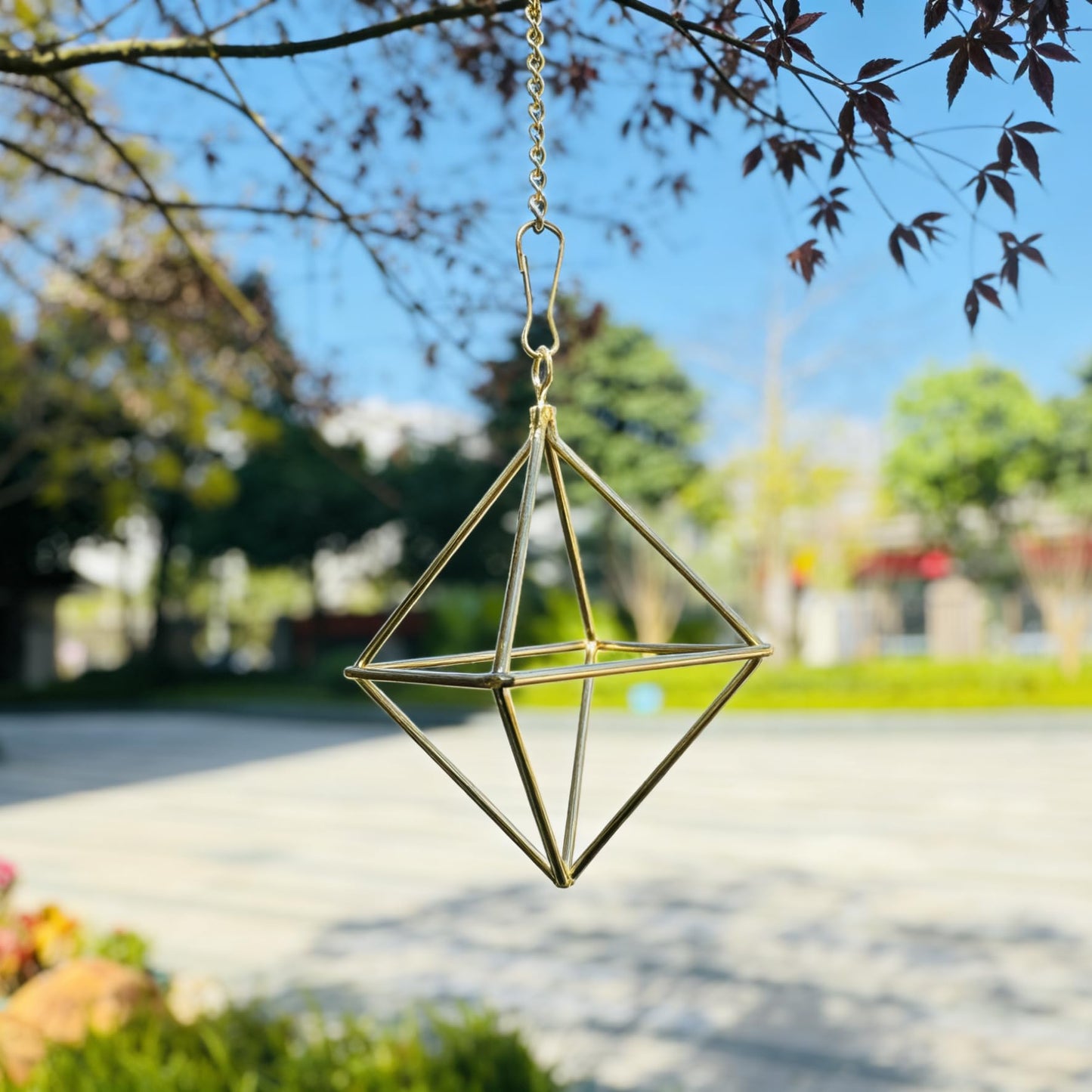 libproqia Gold Air Plant Holders with Chains, Set of 6 Geometric Hanging Planters with Removable Links for Wall Decor, Indoor Home Ceiling Display for Tillandsia, Ferns