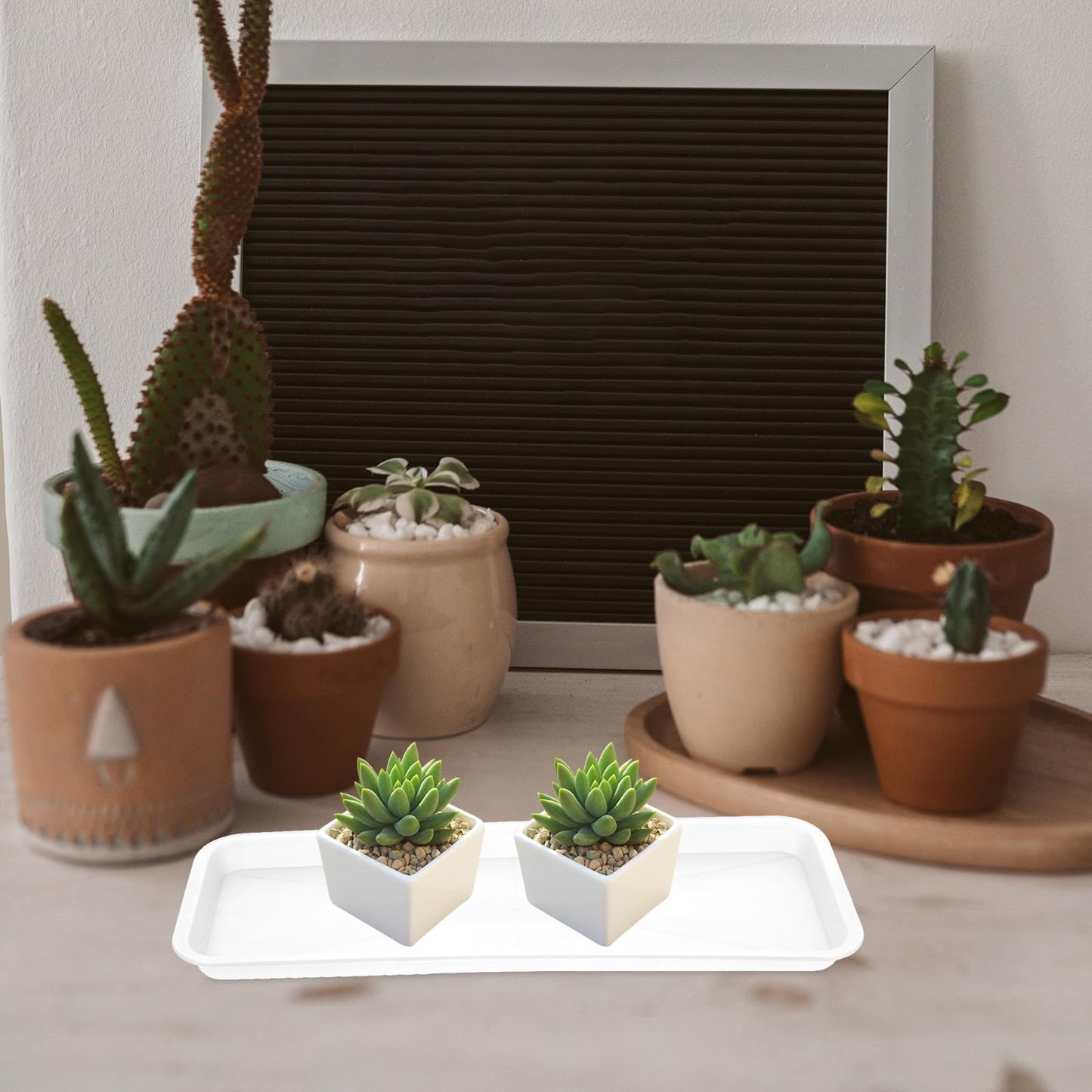FAVOMOTO 10 Pack Plastic Rectangular Plant Drip Trays, Indoors Heavy Duty Sturdy Plant Saucer for Flower Pot Planter Windowsill Pot Seed Starting Growing Trays