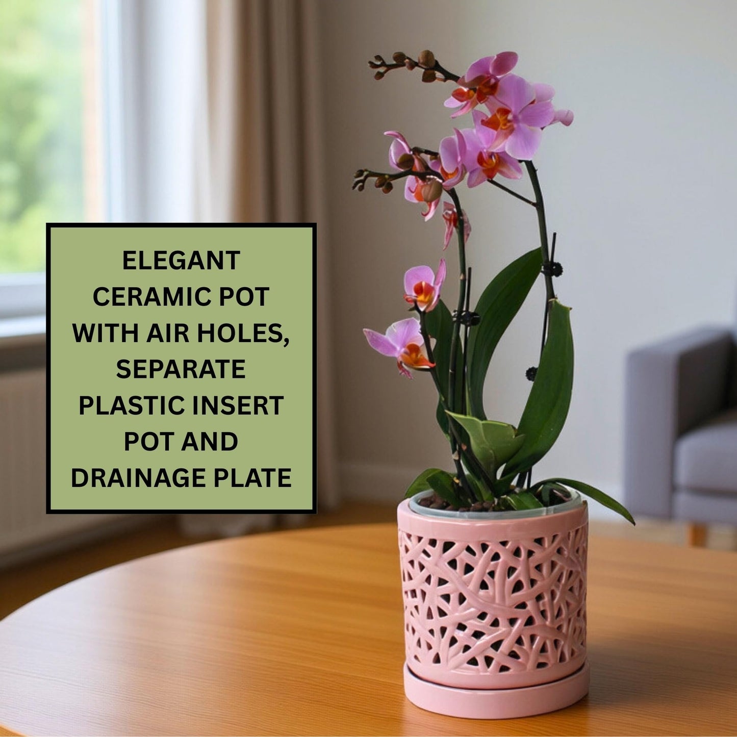 DESQUIGGLE Set of 4 Large Ceramic Orchid Pots with Holes