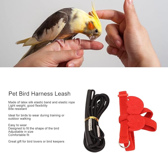 Pet Bird Harness Leash, Lightweight Bird Flying Harness Anti Bite Bird Harness Leash for Parrots Pigeons Lovebird Red
