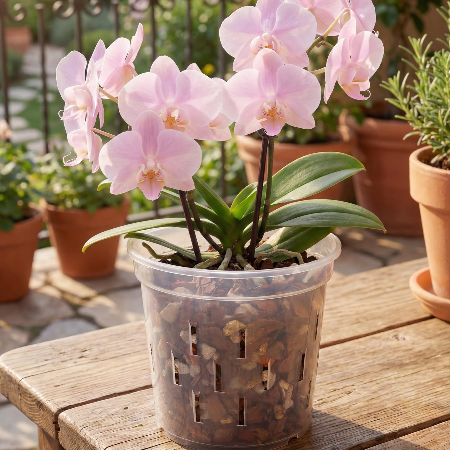 YIKUSH Orchid Pot - 5 Inch Plant Pot 5 Pack Clear Orchid Pots with Holes for Healthy Roots - Clear Design Plastic Plant Pot for Indoor and Outdoor Orchid Care