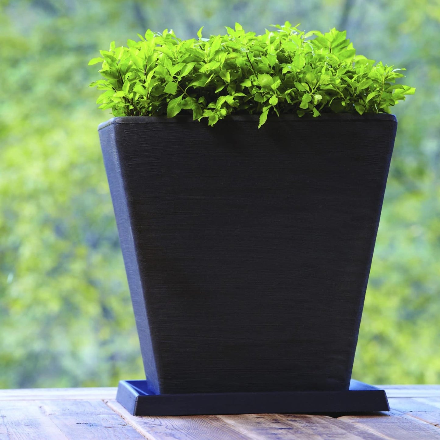 Crescent Garden Universal Square Plant Saucer, UV Safe Durable Plant Tray for Square Planter, Heavy-Duty Plastic Drainage Dish, Indoor/Outdoor Flowerpot Saucer - 13'' inner x 16.75" outer (Old Bronze)