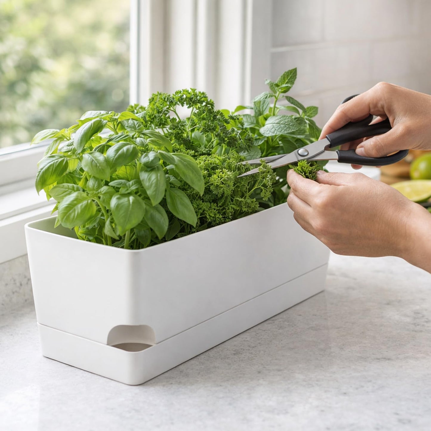 Party Zealot Window Boxes Planters, 3 Pack Self Watering Pots for Indoor Plants 17 Inch Rectangular Planter Rectangle Flower Pots Long Plant Pot Large Window Sill Herb Planter Box, White