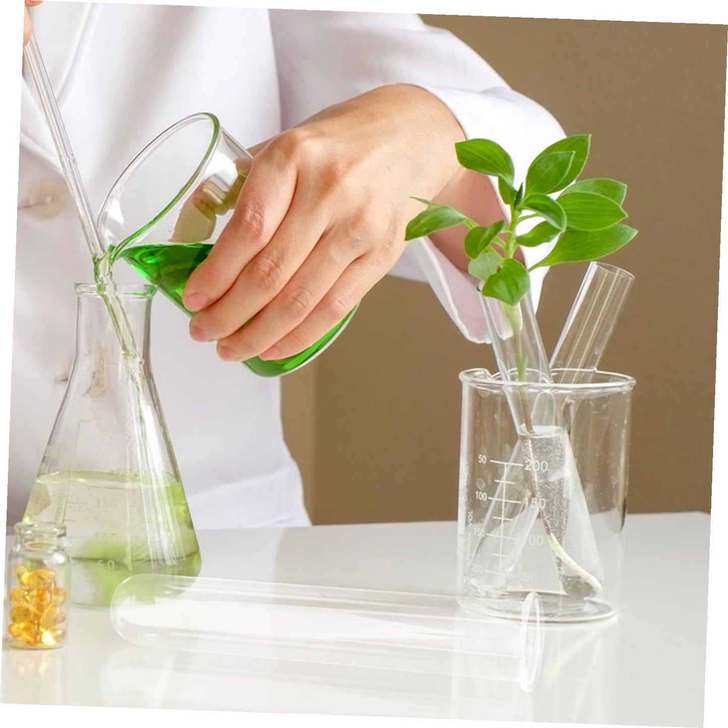 Ciieeo 5pcs Glass Hydroponic Plant Propagation Tubes Desk Vase for Live Plants Transparent Terrarium Tubes for Home Office Decoration and Floral Arrangements