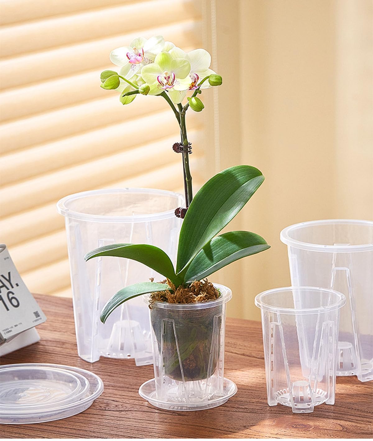 5 Pack Transparent Plastic Garden Pots Clear Orchid Pots with Holes and Saucers for Repotting Breathable Slotted Plastic Orchid Planters with Drainage for Indoor Outdoor Plants and Flowers (4 inch)