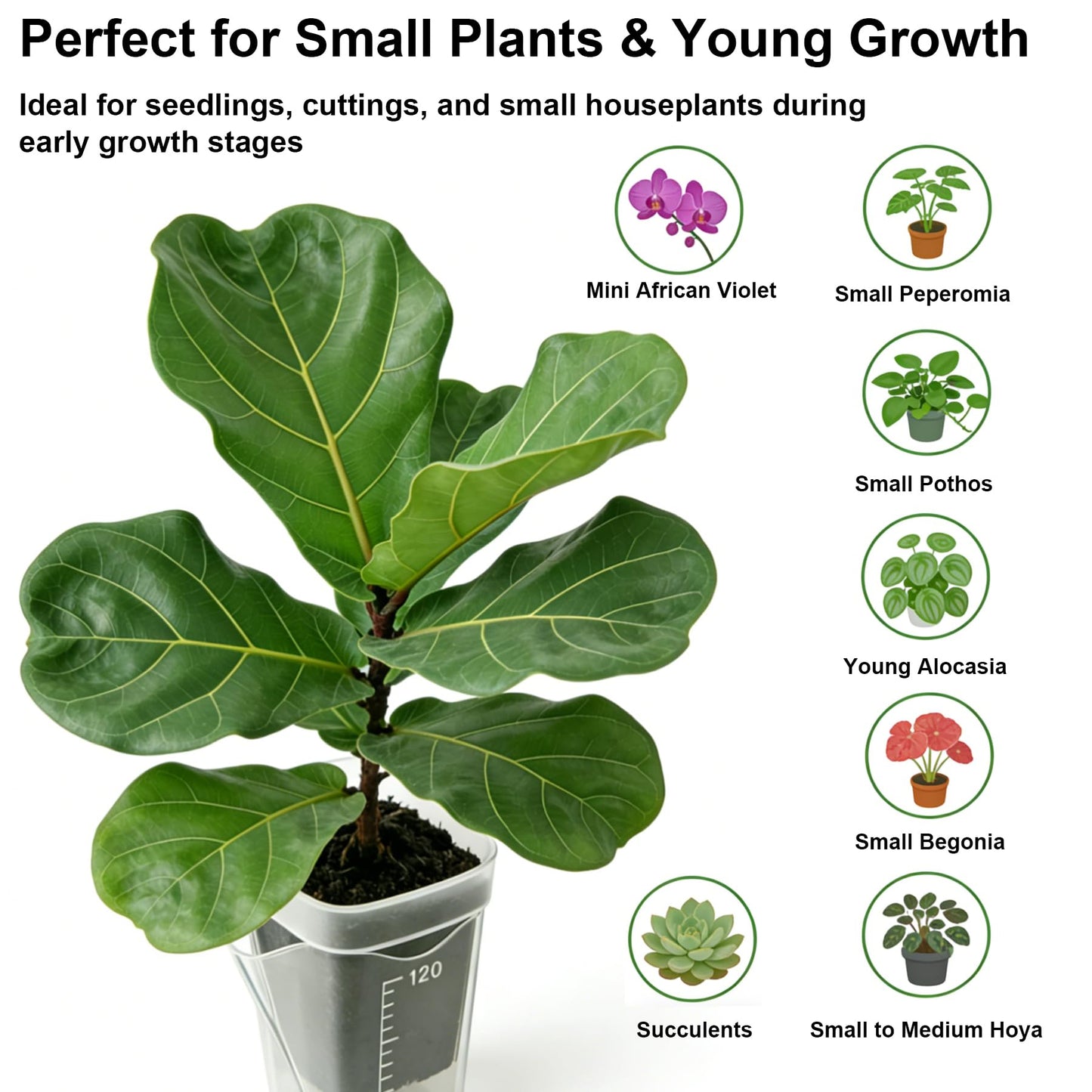 MLIYYBE 12 Set Small Self Watering Pots for Indoor Plants, 6Pcs 2'' & 6Pcs 2.5'' Clear Plastic Planters, Nursery Pots with Wick System, Water Level Indicator & Drainage Holes with 12 Plant Labels