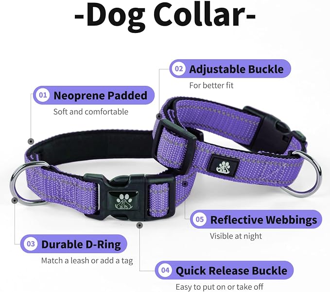 IVY&LANE Reflective Dog Collar and Leash Set,Adjustable Neoprene Padded Dog Collars for Puppy, Breathable Nylon Pet Collar for Small Medium Large Dogs (Large,Purple)