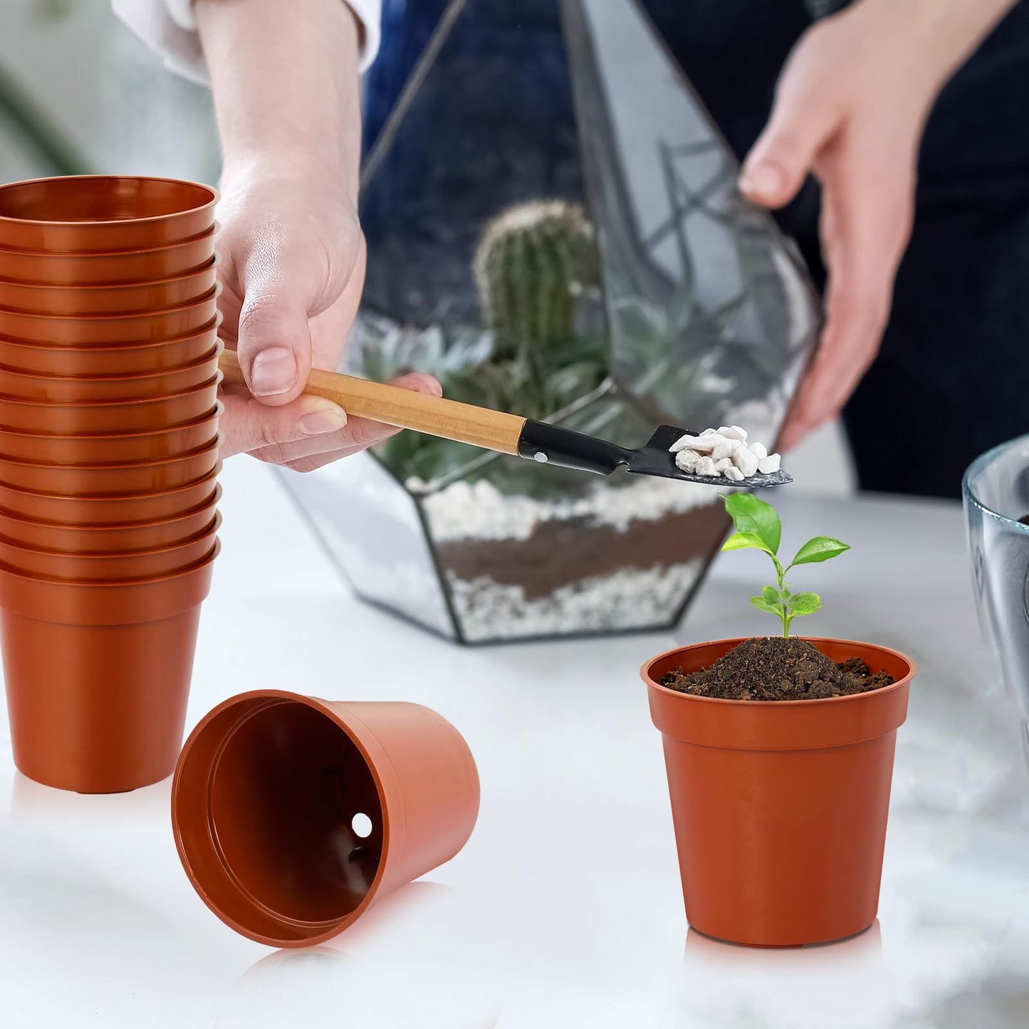 RXLWYUNLAE 120 Pcs 2 Inch Red Mini Nursery Pots for Plants, Plastic Seedling Red Plant Pots with Drainage Holes, Seed Starting Trays for Various Seeds Indoor & Outdoor Flower Planters