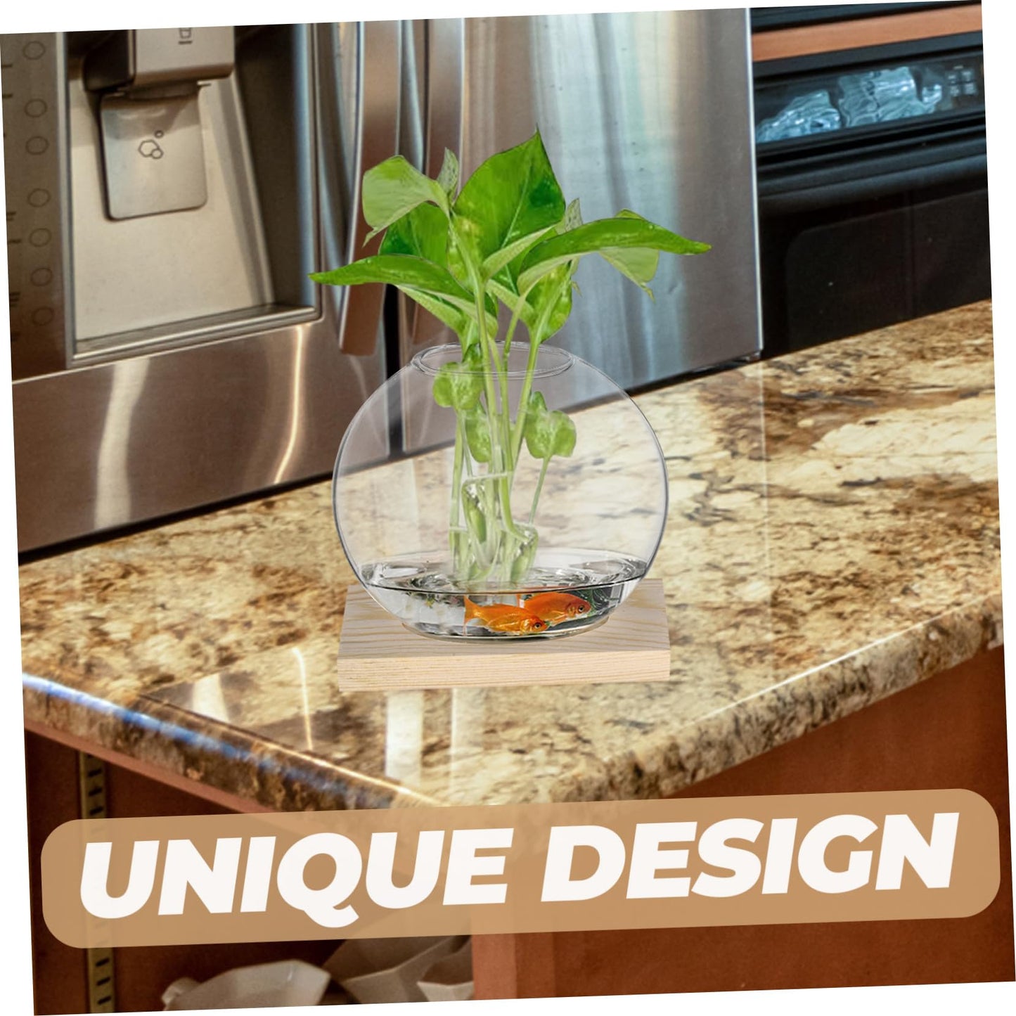 balacoo 2sets Hydroponics Glass Vase Small Propagation Terrariums with Eucalyptus Base for Indoor Plant Display Home Decor and Flower Propagation for Greenery and Floral Arrangements