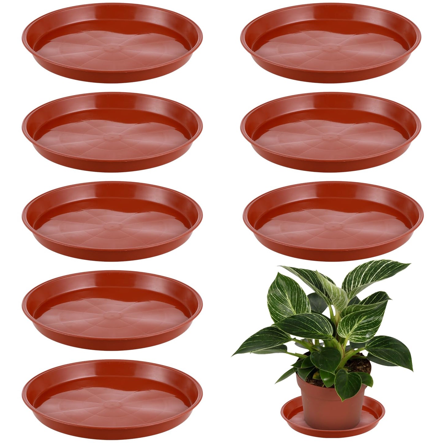 KvyusFlourish 8 Pack 11.5 Inch Plant Saucers for Indoors Outdoors Plastic Plant Water Catcher Trays No Holes Round Flower Pot Drip Trays, Heavy Duty Plant Pot Saucers Water Drainage Trays, Terracotta