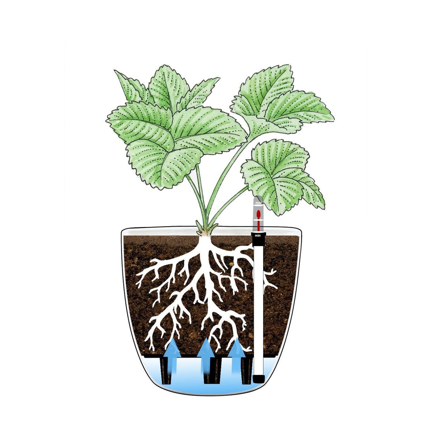 T4U 6 Inch Plastic Self Watering Planter with Water Level Indicator White Set of 4, Modern Decorative Planter Pot for All House Plants, Flowers, Herbs, African Violets, Succulents