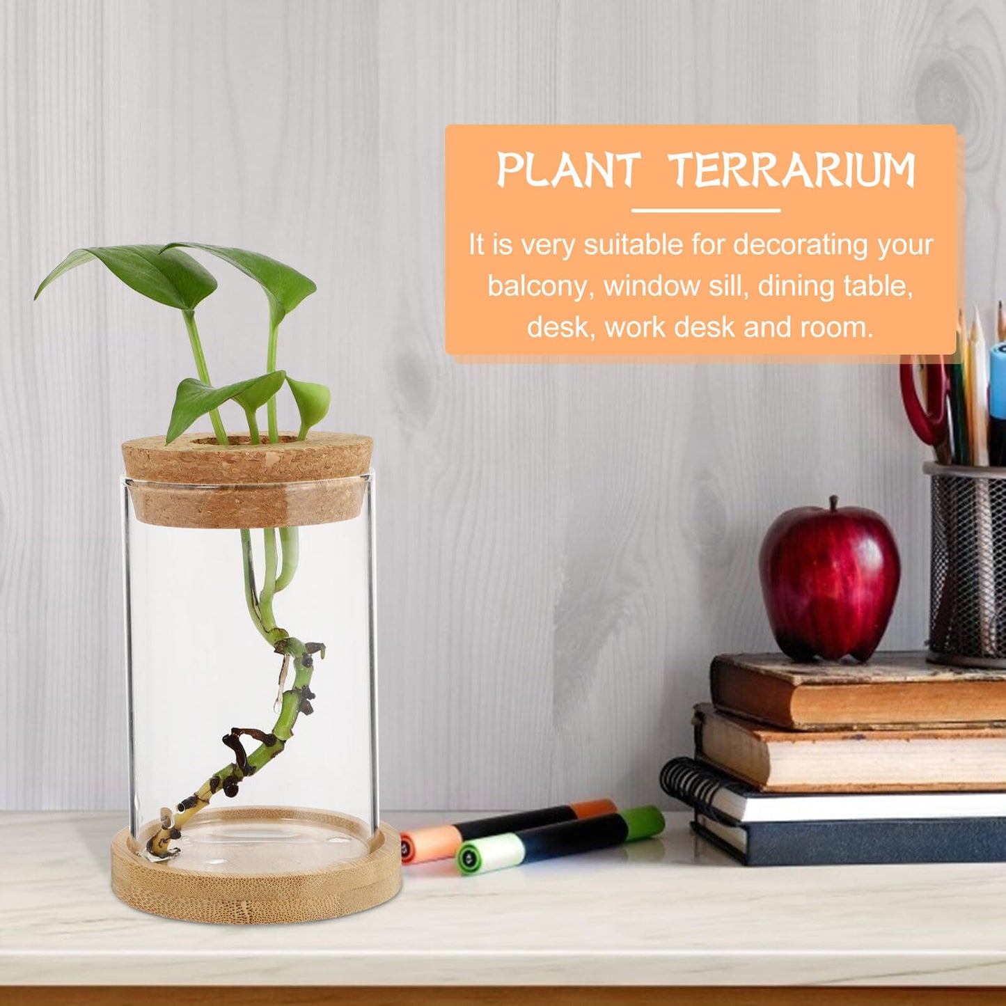 Ipetboom 2pcs Hydroponic Plant Terrarium Glass Vases with Stand, 6.5x10cm Desktop Glass Containers for Home Office Garden Decoration