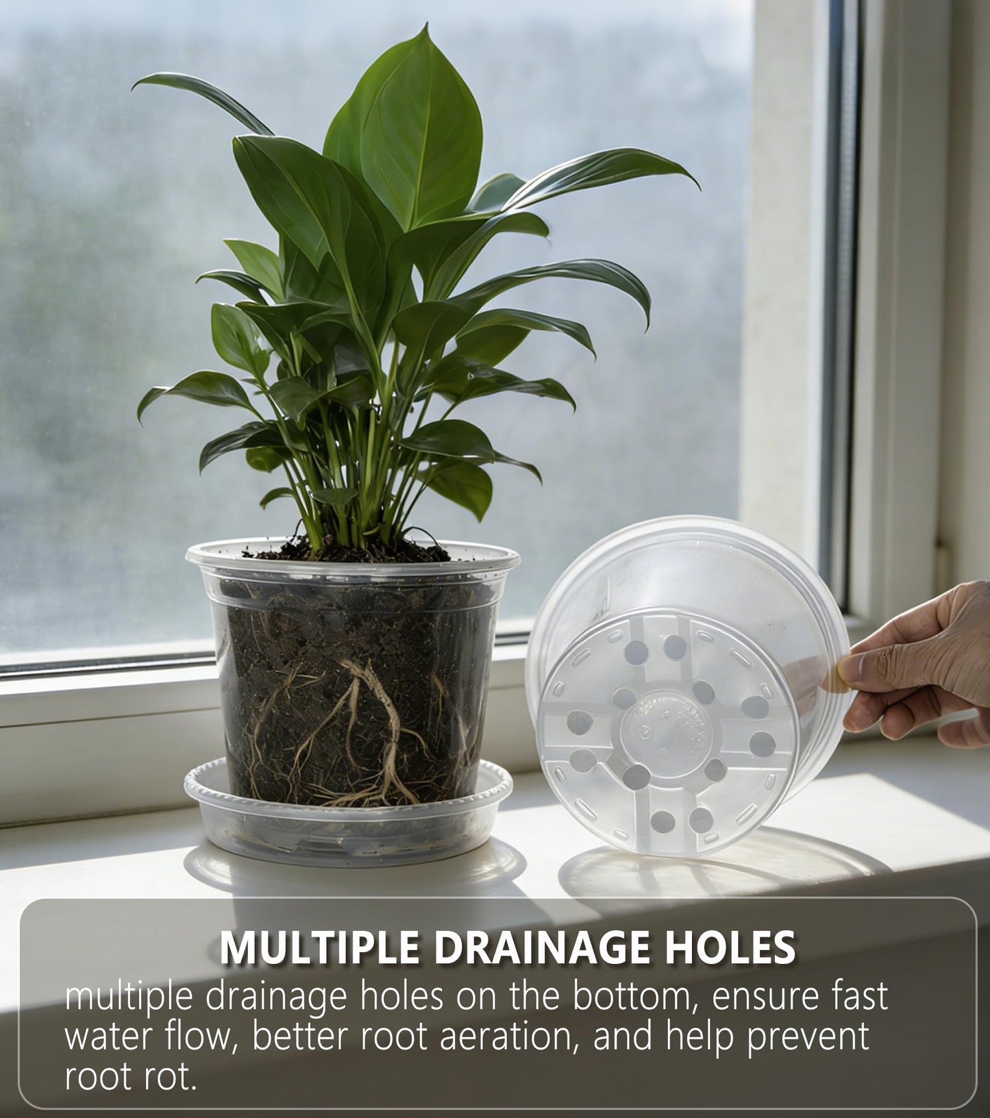 RZOIKZOI 20-Pack Clear Nursery Pots with Drainage Holes (4/5/6/7 Inch) – Transparent Plastic Plant Pots with 20 Labels, Assorted Sizes for Seed Starting, Succulents, Indoor and Outdoor Use