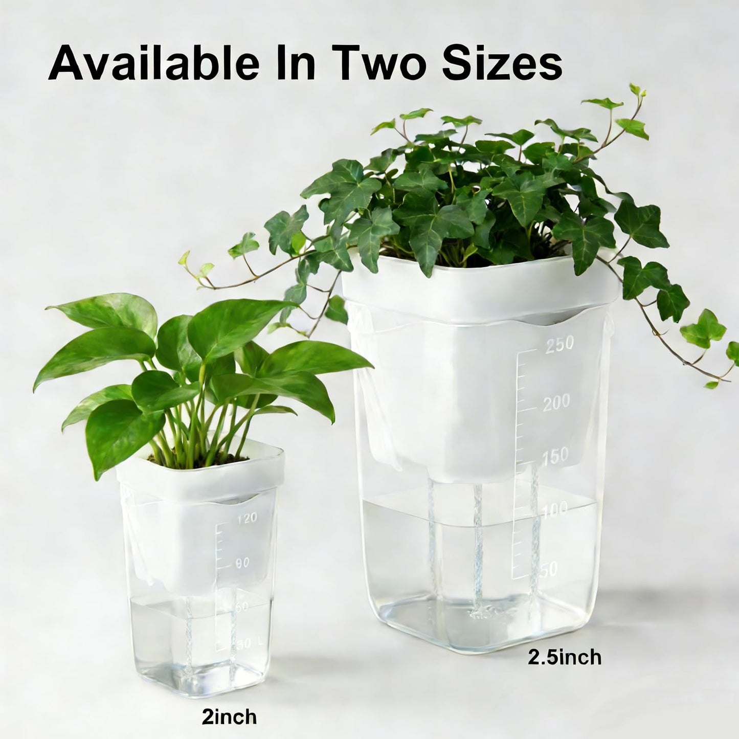 emciba 12 Pack 2.5"/2" Mini Clear Self Watering Pots for Indoor Plants with 2 pcs Transplanting Tool, Small Plastic Propagation Pots for Plants, Water Level Indicator,Drainage Hole,12 Plant Labels