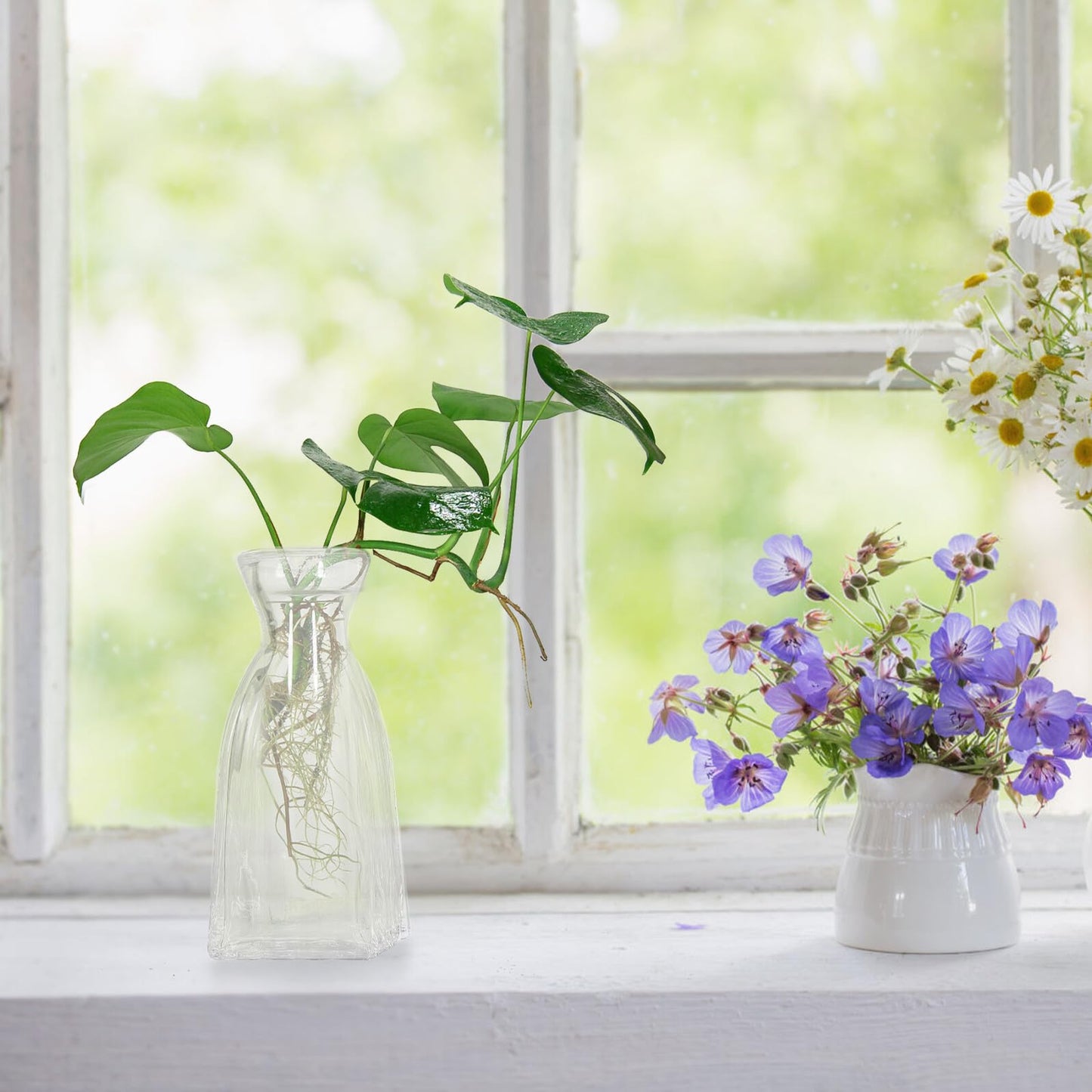 QUMIIRITY 4pcs Glass Hydroponic Vases Terrarium Flower Vase Set for Home Decor Table Centerpiece Glass Containers for Indoor Green Plants
