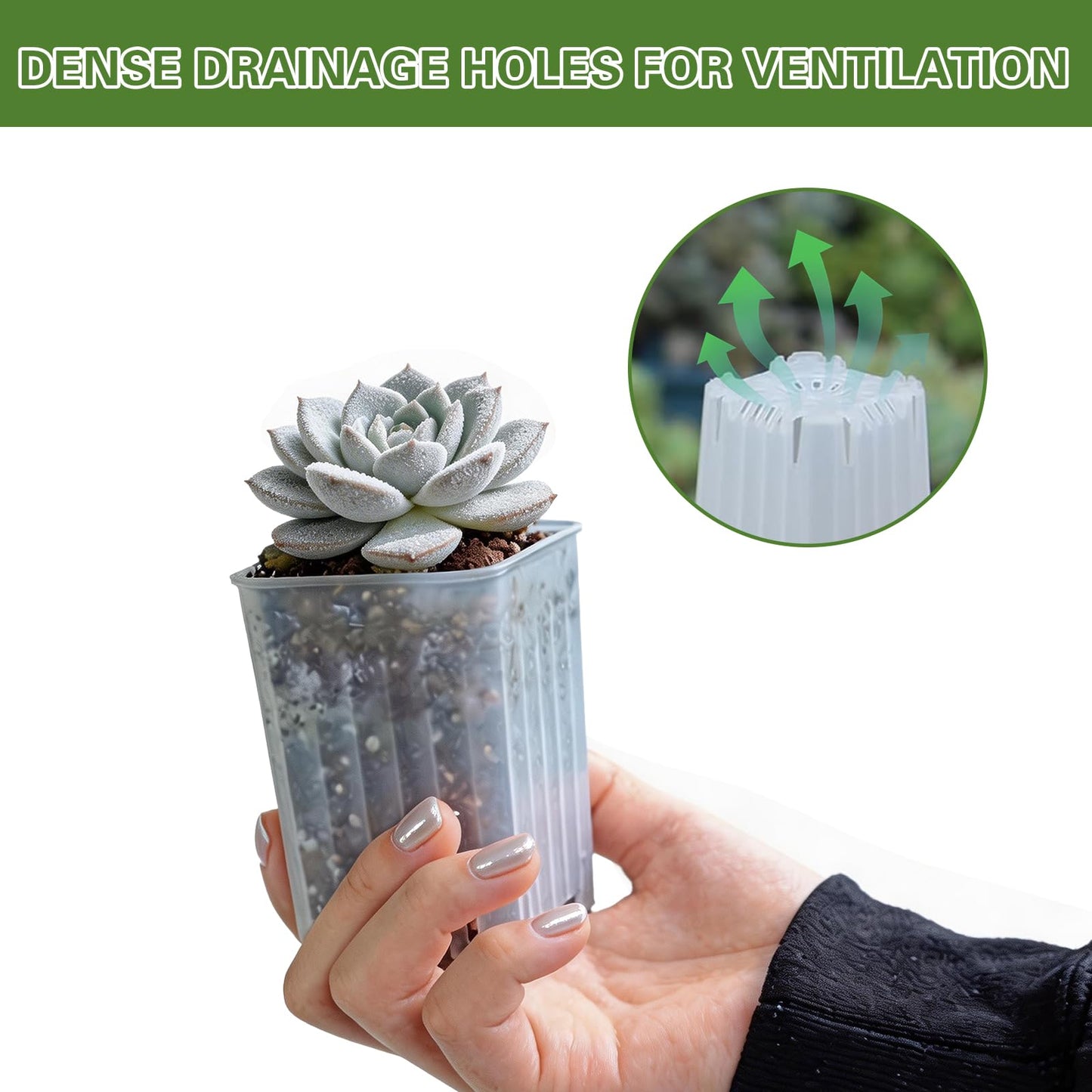 HaoGludi 50 Pack 2'' Square Nursery Pots, Tiny Clear Seedling Planters with Drainage Holes, Plastic Mini Deep Transplant Pot for Herb, Succulent, Germination, Seed Starting, Cuttings