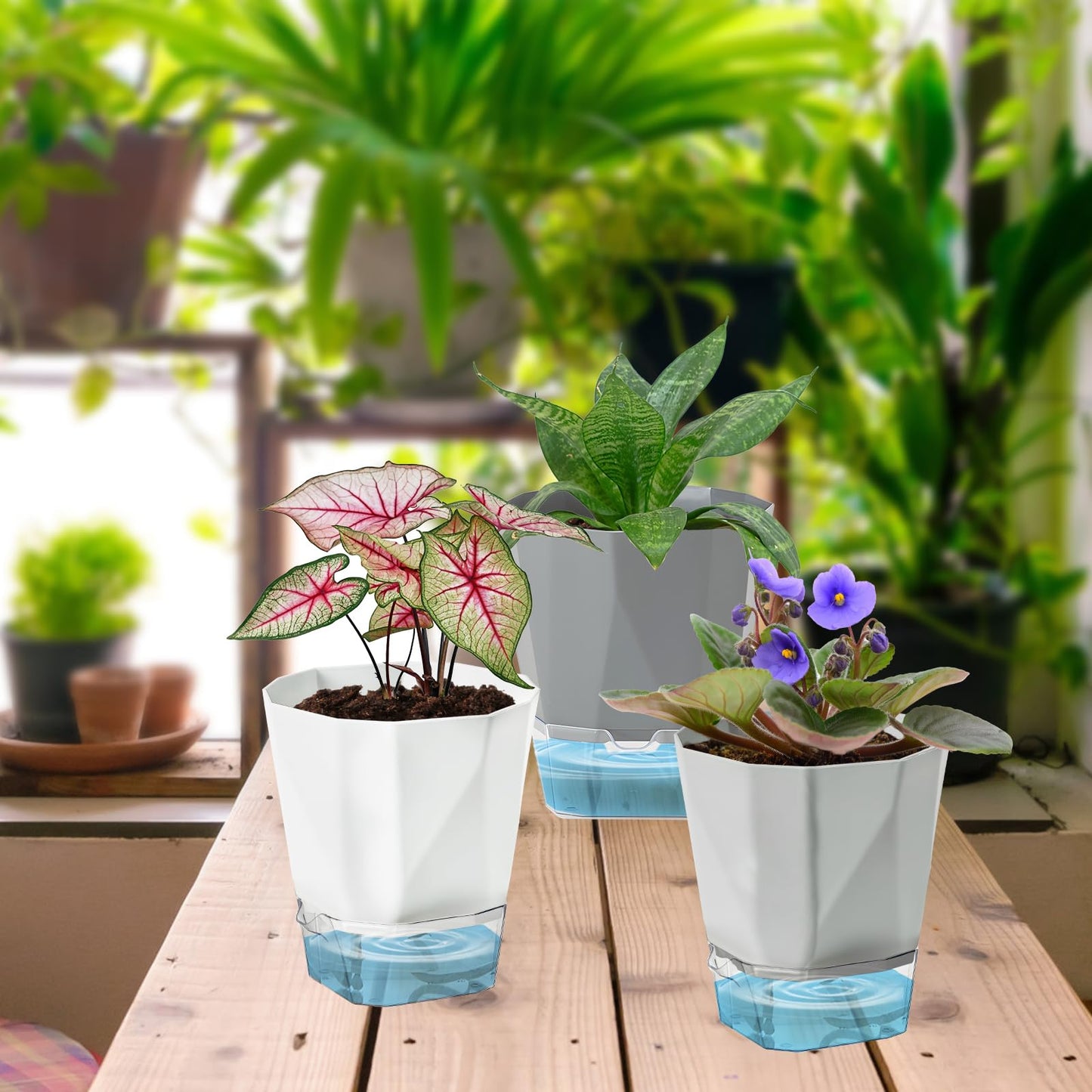 Samhe 3 Pack Self Watering Flower Pots 6.5 Inch, Plant Pots for Indoor Outdoor, Self Watering Planters with Wick Rope and Clear Reservoir
