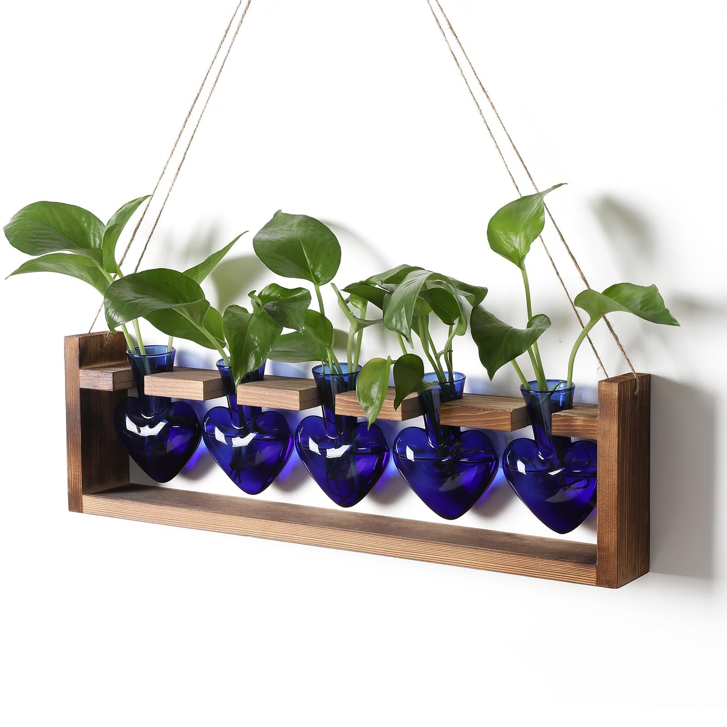Plant Terrarium Hanging Propagation Stations Gift for Women Air Plants Holder with Wooden Stand Heart Glass