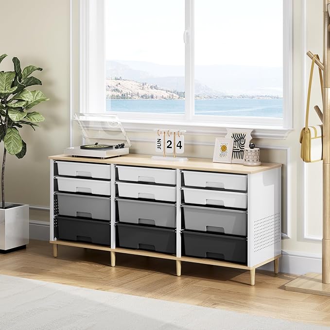 12 Drawers Storage Cabinet