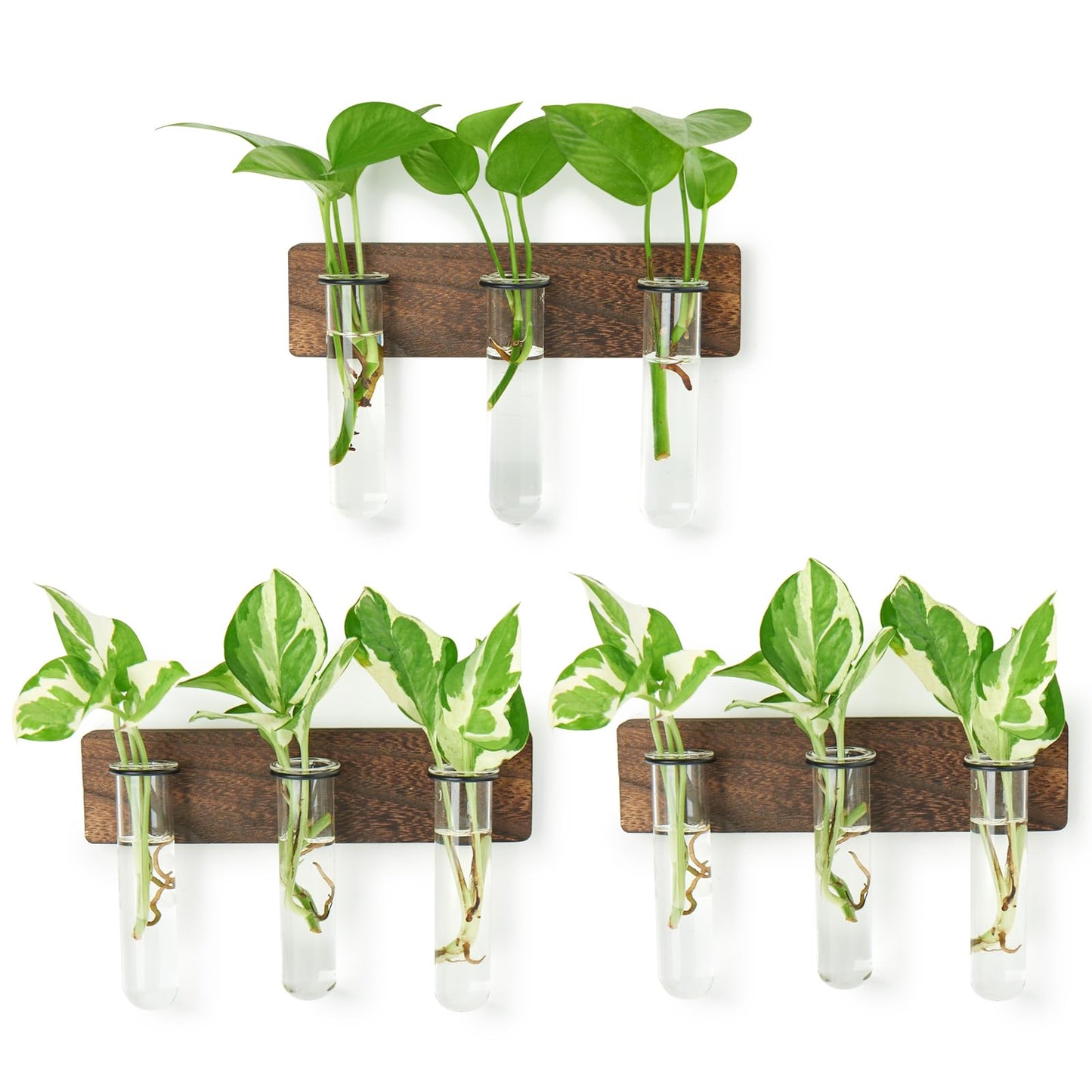 XXXFLOWER Wall Mounted Plant Terrarium with Wooden Stand 3 PCS Hanging Planter Propagation Station with 3 Glass Tubes for Plant Cuttings Flower Vases for Home Office Indoor Decor