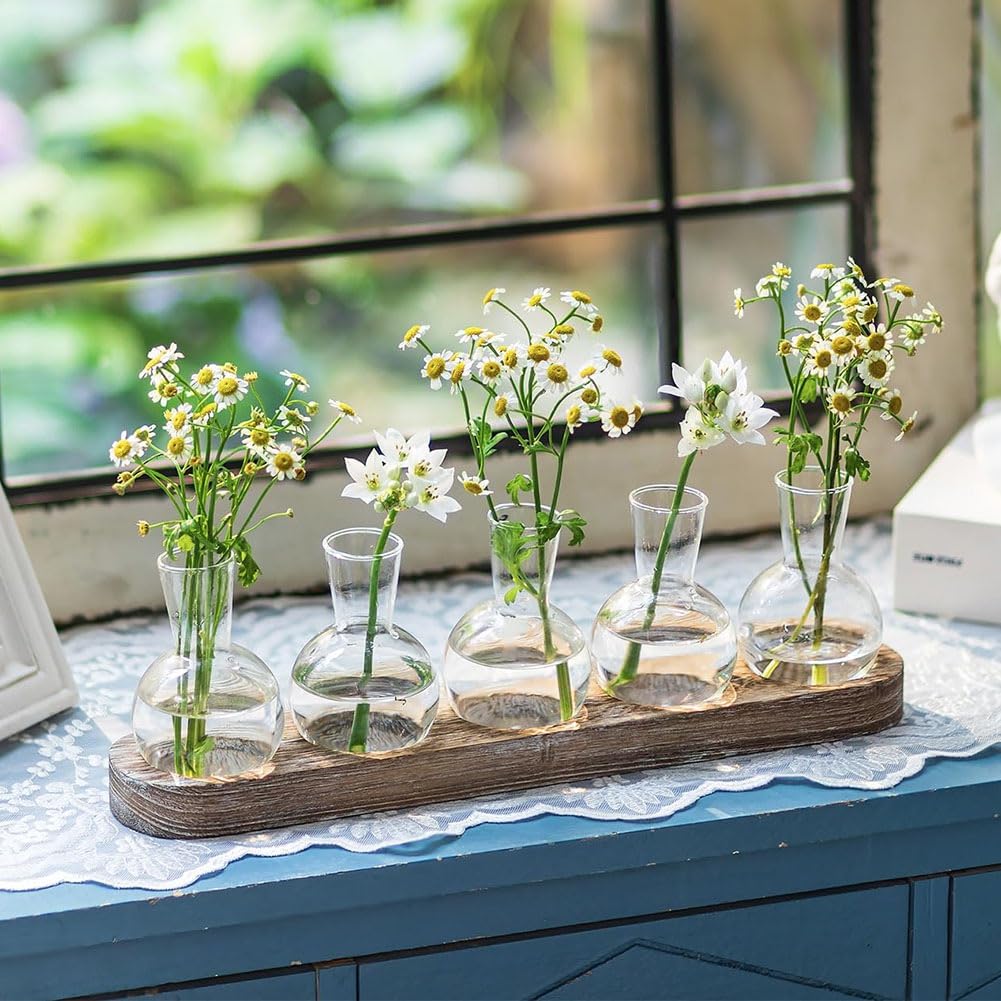 Beranosoer Propagation Station Glass Vases Decoration: 5 Plants Terrarium with White Washed Wooden Tray for Living Room