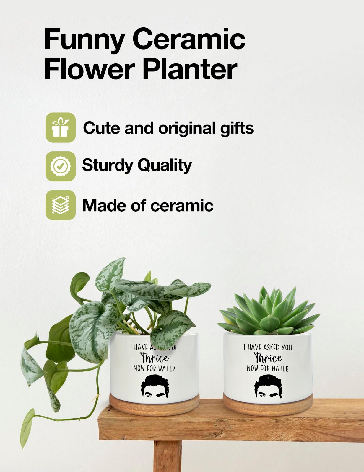 PWHINGN I Have Asked You Thrice Now for Water Ceramic Succulent Planter Pot, Funny Plants Pots Schitts Merchandise Gifts, for Women Mom Grandma Plant Lovers Gifts - 3.5 inch(Plant Not Included)