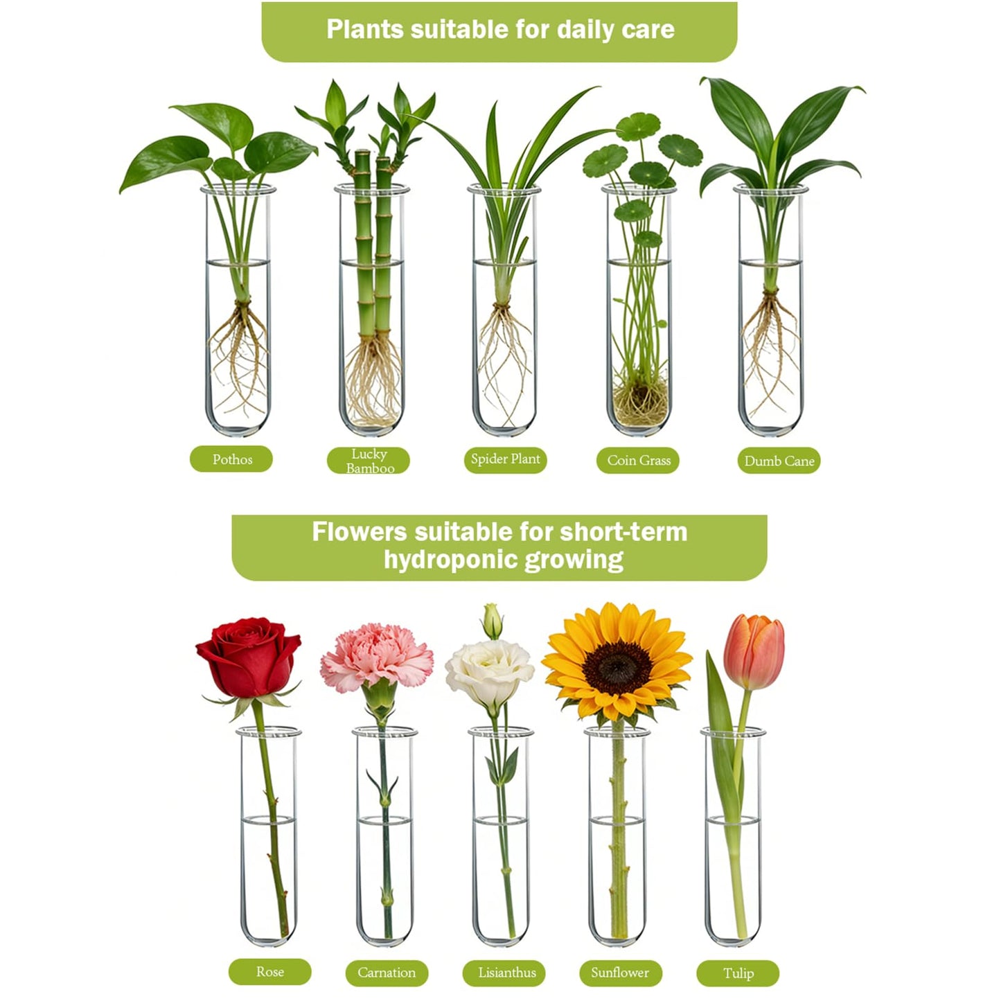XXXFLOWER Wall Hanging Propagation Station with Wooden Stand 21 Glass Test Tubes 3 Tiers Planters Wall Terrarium for Home Office Plant Hanger Flower Vases Wall Decor Hydroponic Cuttings