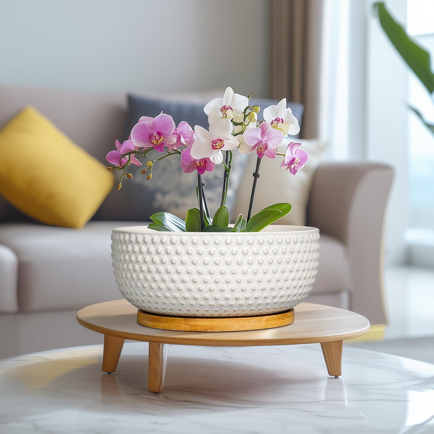 EPFamily Succulent Pots 8 Inch - Ceramic Bonsai Planters for Indoor Plants, Plant Pot with Drainage Hole and Saucer, Shallow Round Flower Planter, Modern Room Decor, Gifts for Plant Lover, White