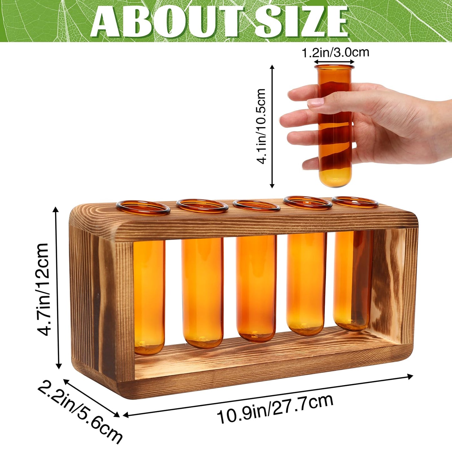 Glass Plant Propagation Station with 5 Test Tubes Colorful Planter Vase Birthday Gifts for Women in Wooden Stand