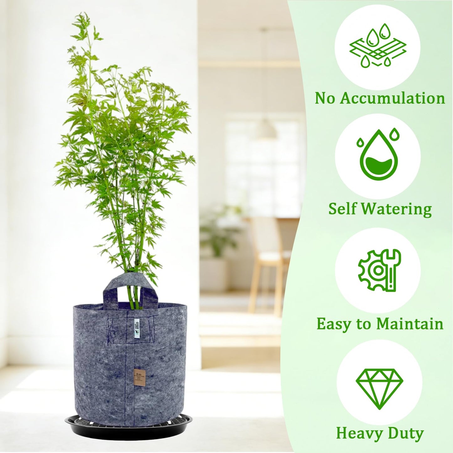 Soleeya 5-Pack 12" Plastic Plant Saucer, Self Watering Pots for Indoor Plants, Bottom Plant Water Catcher Tray, Indoor/Outdoor Greenhouse Garden Auto-Irrigation System for 5 Gallon Fabric Grow Bag