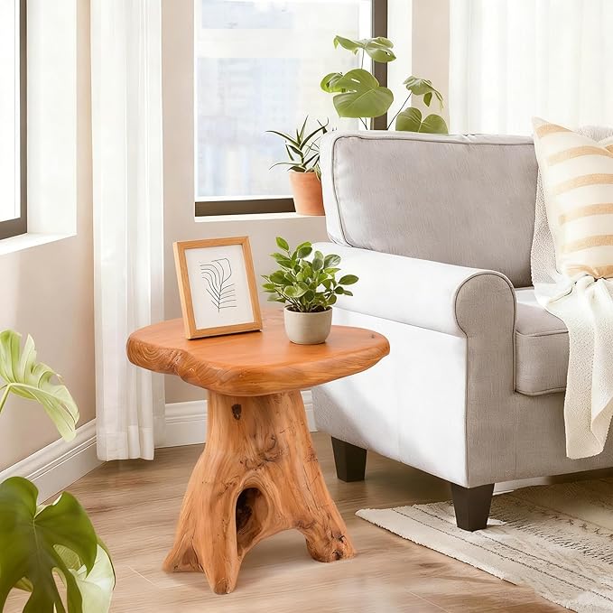 Small Side Table, Freeform Live Edge Wood Stool, Unique Design Natural Plant