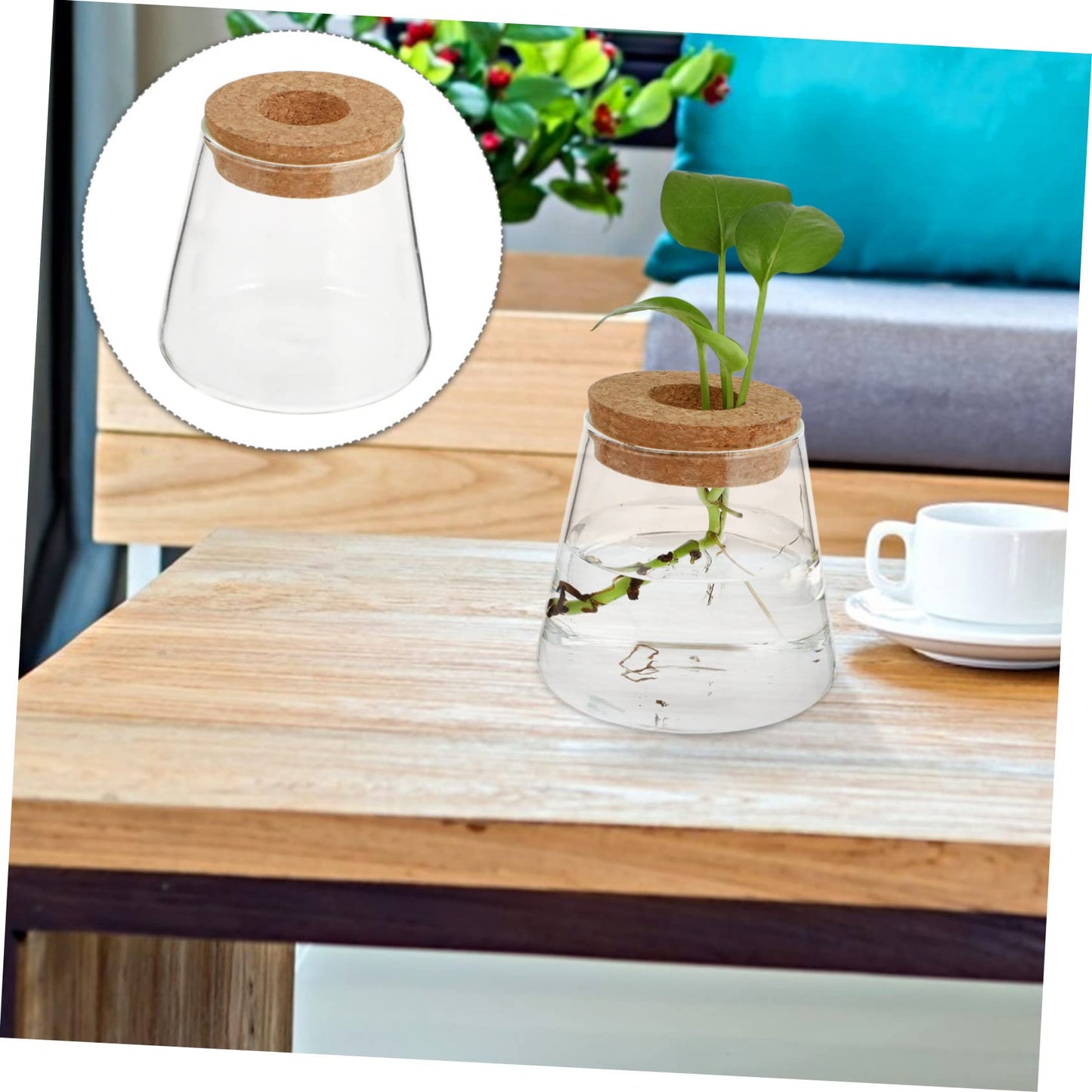 Ciieeo 2Pcs Glass Desktop Planter Vase for Hydroponics Chic Terrarium for Indoor Plants Home Office Decoration for Floral Arrangements and Plant Propagation