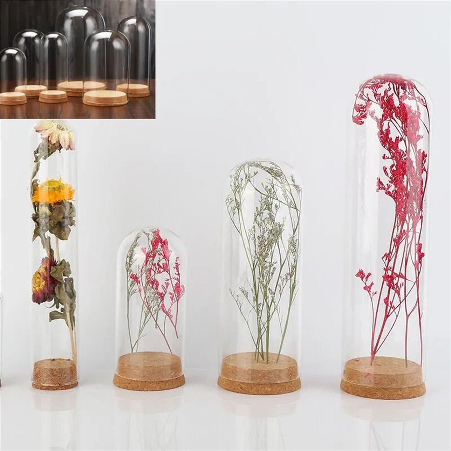 10X Da30mm Glass Bottle Terrarium Jar Cork Base Dome Dust Cover DIY Specimen Succulent Plant Micro Landscape Flower Vase Display(30x120cm)