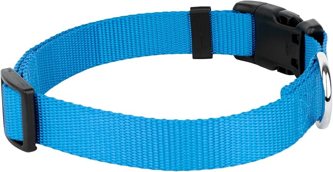 Country Brook Petz - Everyday Nylon Dog Collar and Leash - 10+ Cool Colors (3/4 Inch, Medium, Ice Blue)