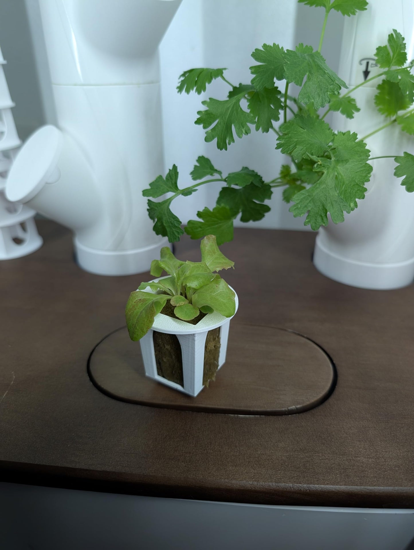 Grow Cubes for Hydroponic System/Compatible with Gardyn (15 Cubes+Rockwool)