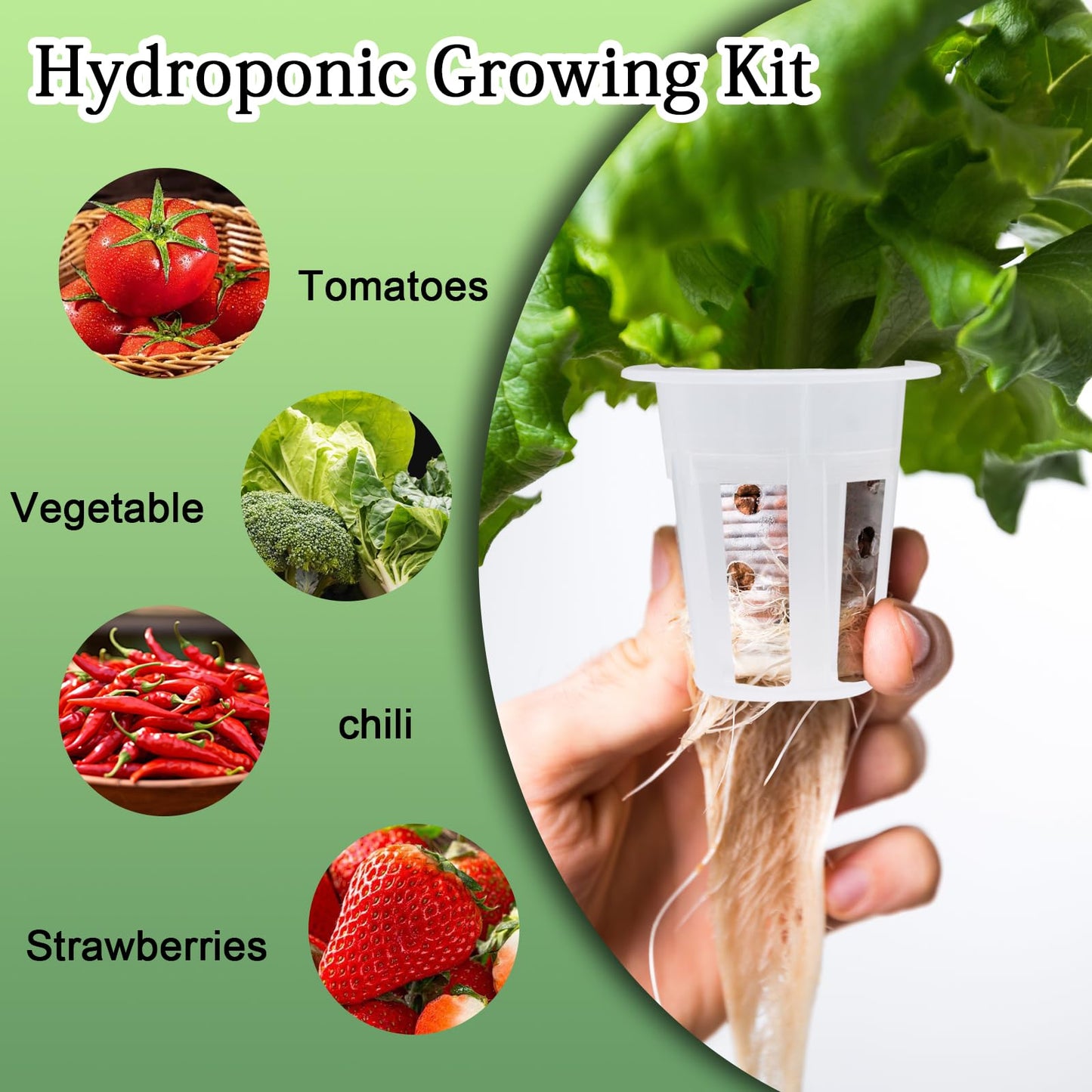 vibedor 62 PCS Hydroponic Seed Growing System Hydroponic Growing Kit, 30 Hydroponics Plant Baskets and 30 Grow Sponges Pods, 2 Tweezers for Ourdoor Use and Garden Indoor