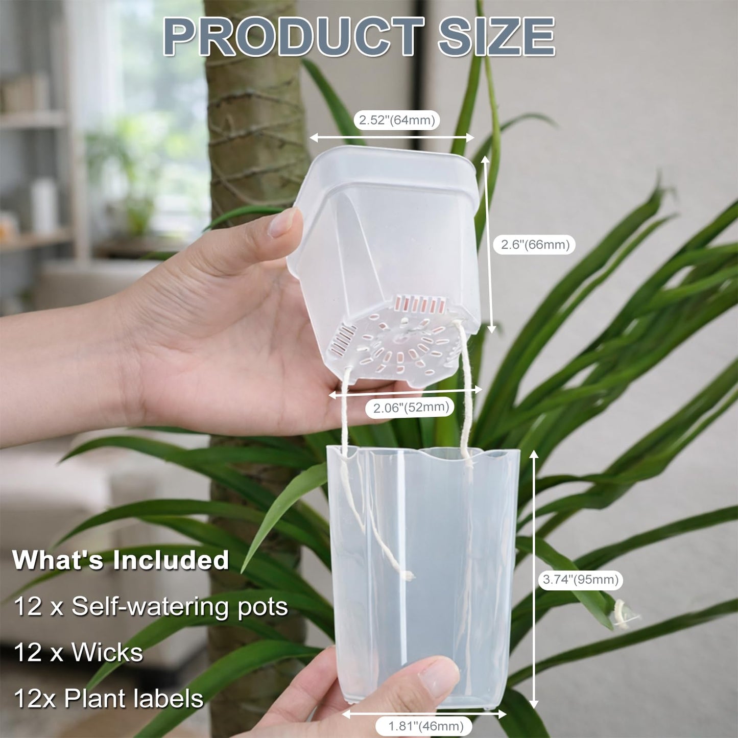 12 Pack 2.5" Small Self Watering Pots for Indoor Plants, Mini Clear Plastic Planters with Water Level Drainage Holes, 12 Plant Labels, Semi-Hydro Propagation Pots for Hoya, African Violets, Alocasia
