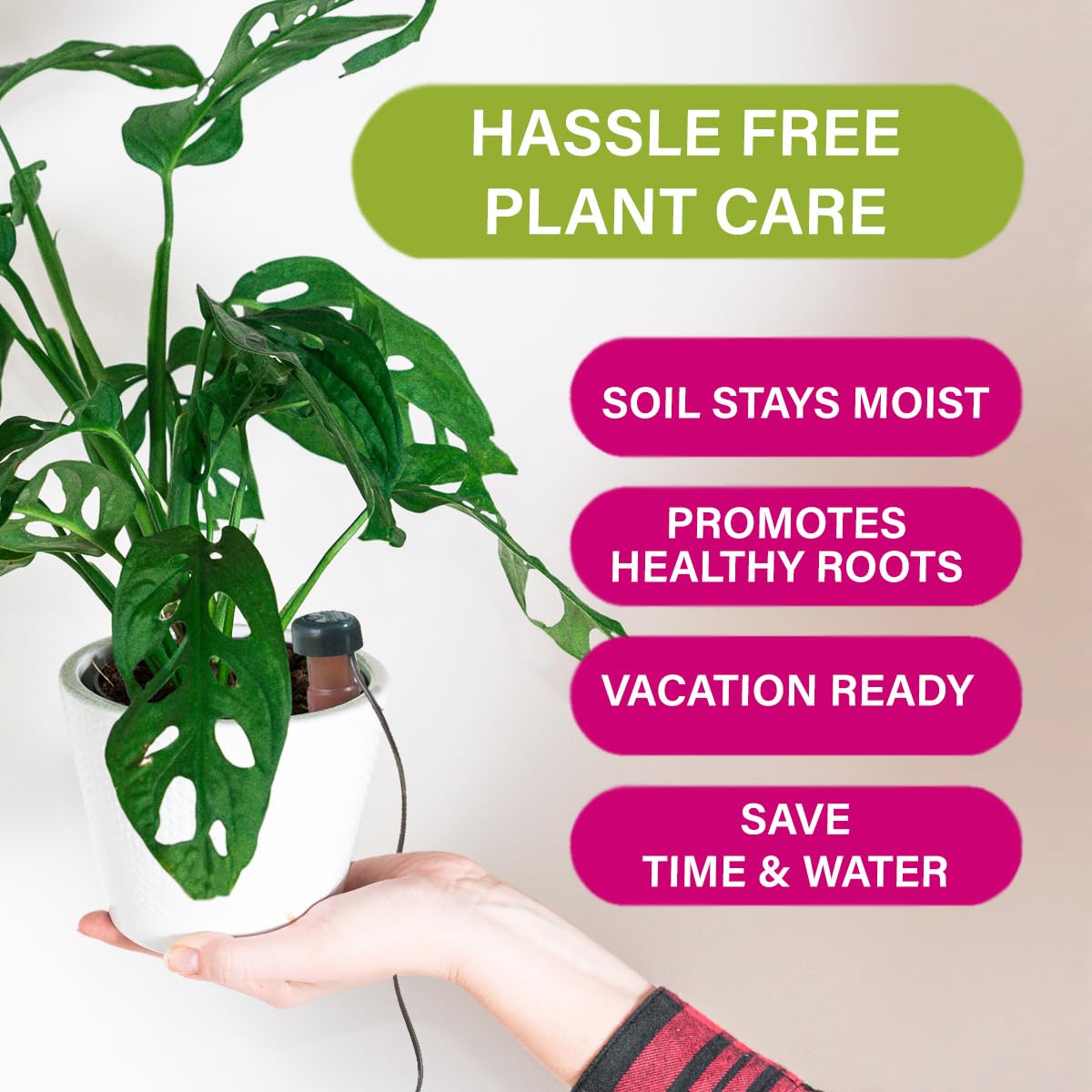 Blumat Classic Self-Watering Stakes - Prevents Overwatering and Underwatering for Healthy Growth While You are Away - Ideal for Indoor Plant Watering, 12 Pack, wo Adapter
